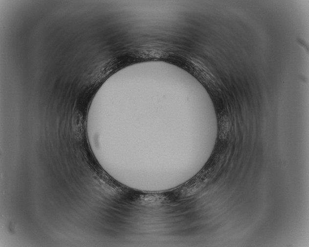 X0000097830414200804041425