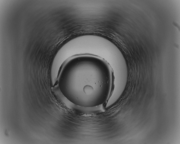 X0000097830415200804041425