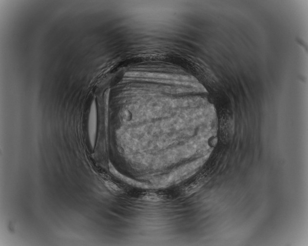 X0000097830416200804041425