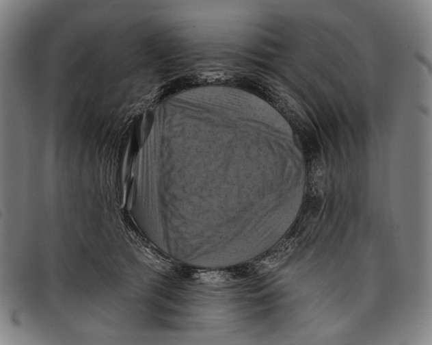 X0000097830417200804041425