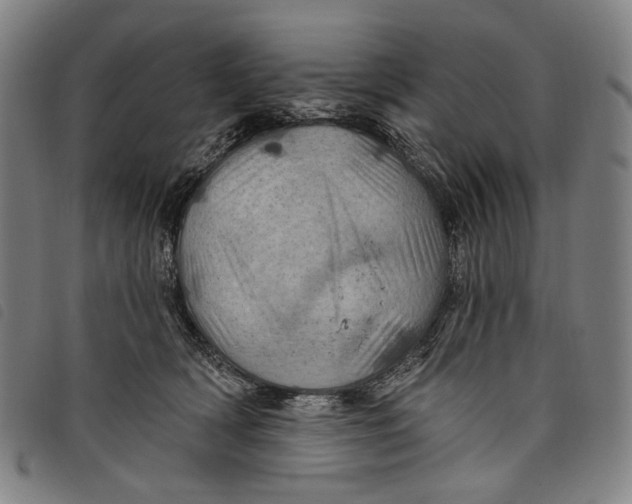 X0000097830418200804041425