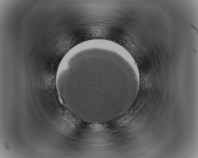 X0000097830419200804041425