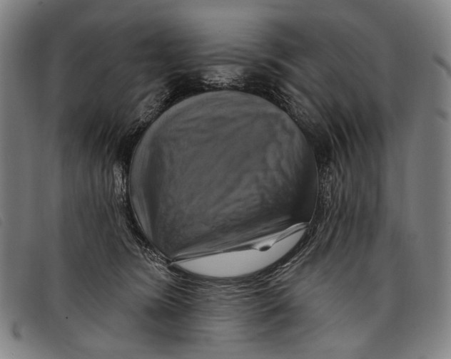 X0000097830420200804041425