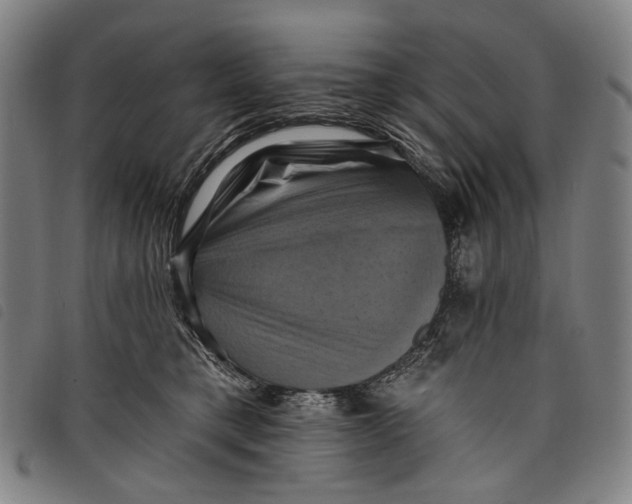 X0000097830421200804041425