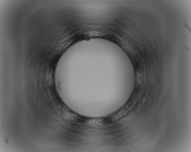 X0000097830422200804041425