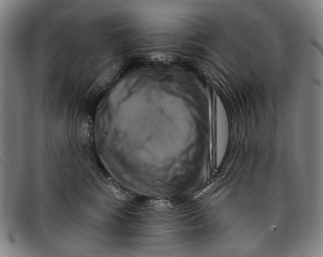 X0000097830424200804041425