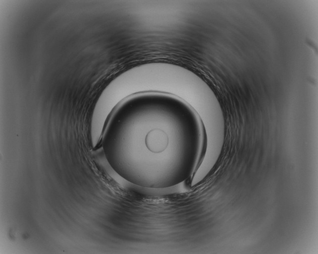 X0000097830427200804041425