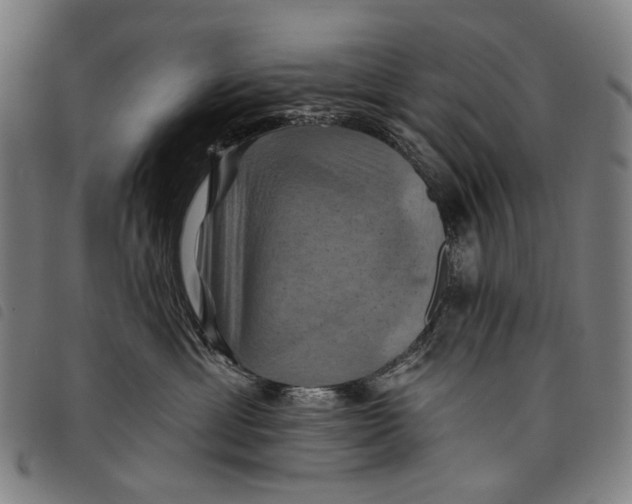 X0000097830429200804041425