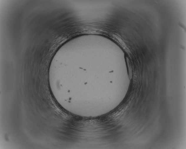 X0000097830433200804041424