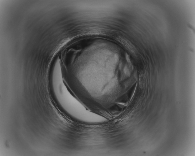 X0000097830436200804041424