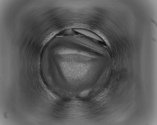 X0000097830437200804041424