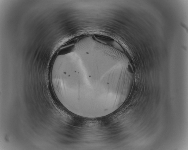 X0000097830438200804041424