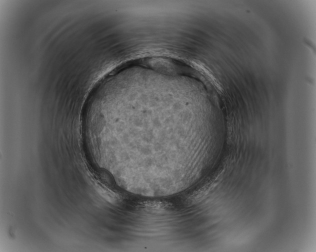 X0000097830439200804041424