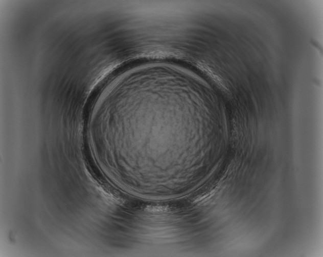 X0000097830440200804041424