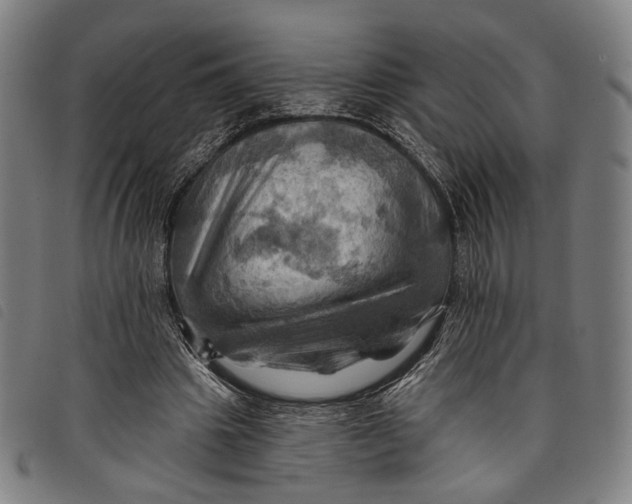 X0000097830441200804041424