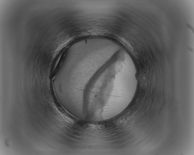 X0000097830442200804041424