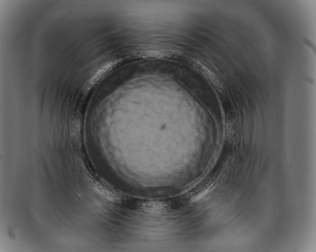 X0000097830444200804041424