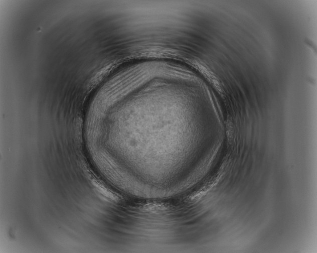 X0000097830445200804041424