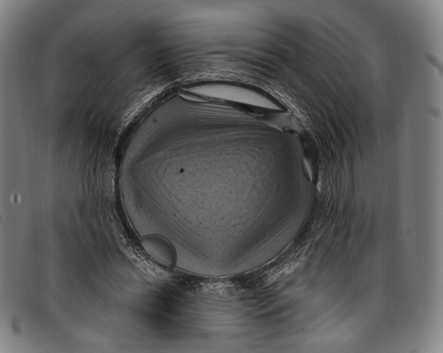 X0000097830446200804041424