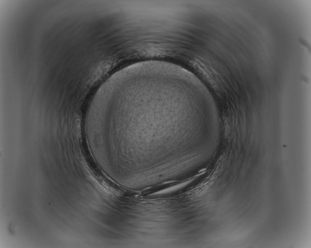 X0000097830447200804041424