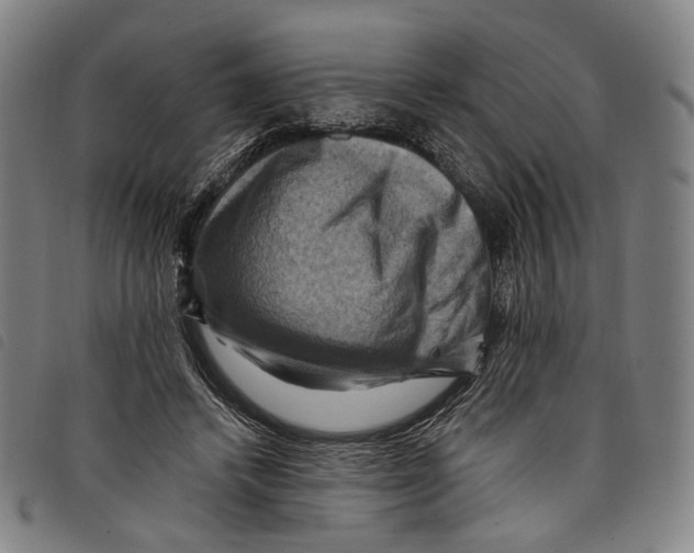 X0000097830448200804041425