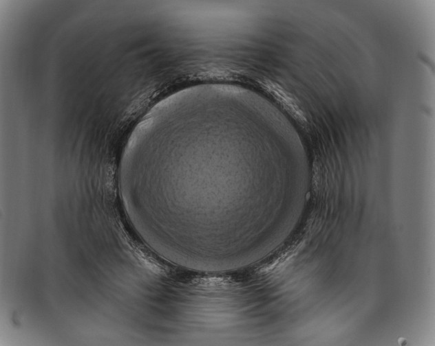 X0000097830449200804041425