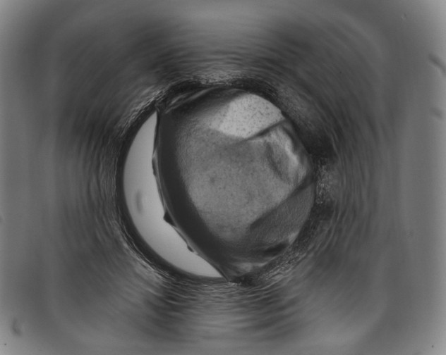 X0000097830452200804041425