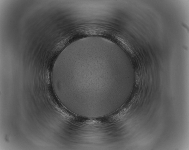 X0000097830453200804041425