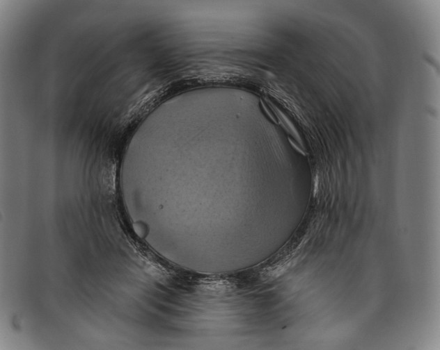 X0000097830454200804041425