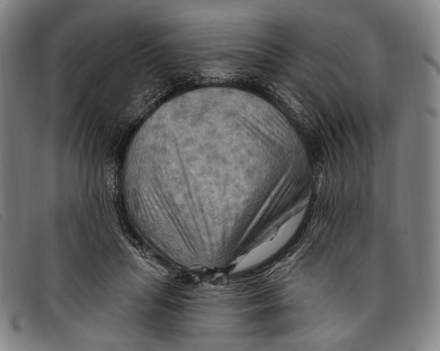 X0000097830455200804041425