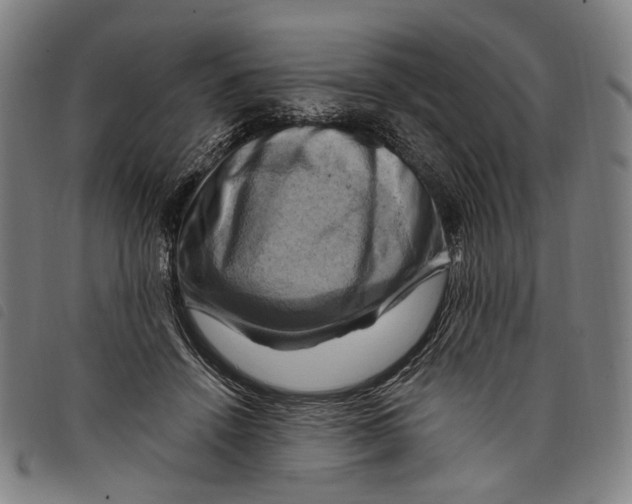 X0000097830456200804041425