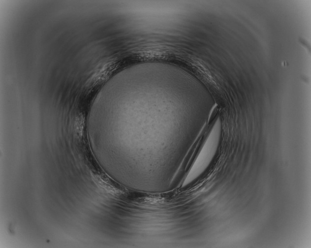 X0000097830458200804041425