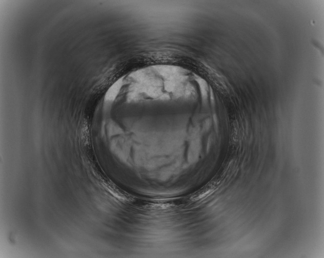 X0000097830465200804041425