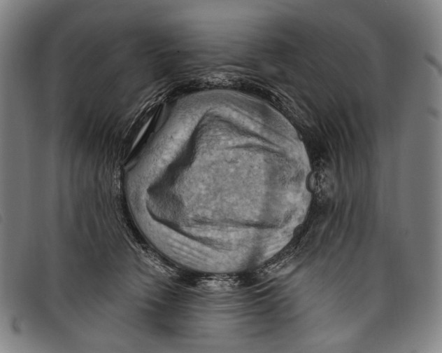 X0000097830466200804041425