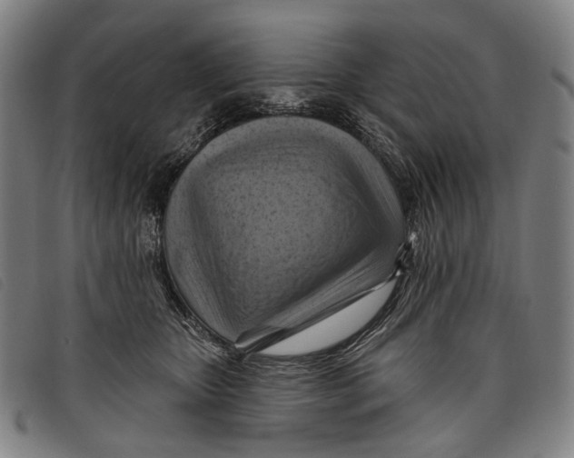 X0000097830467200804041425