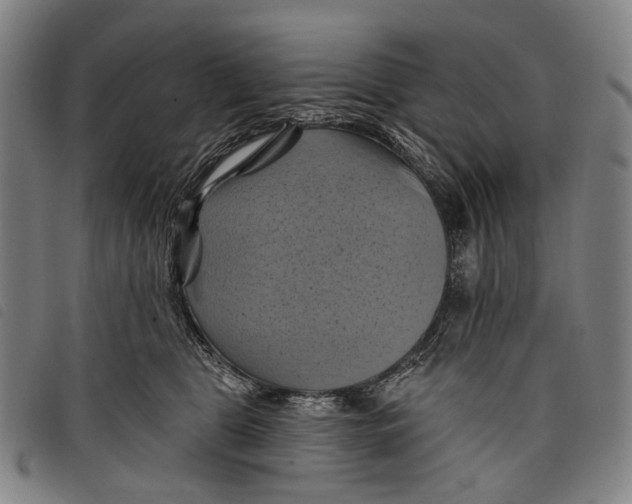 X0000097830469200804041425