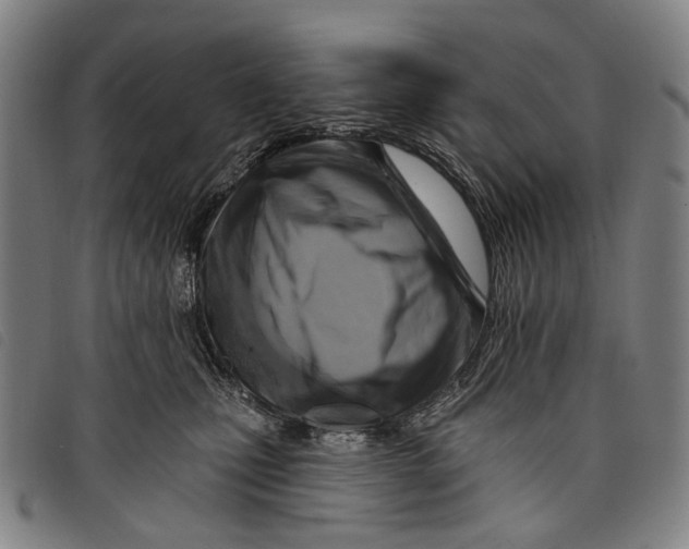 X0000097830471200804041425