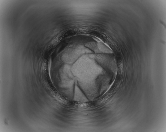 X0000097830472200804041425