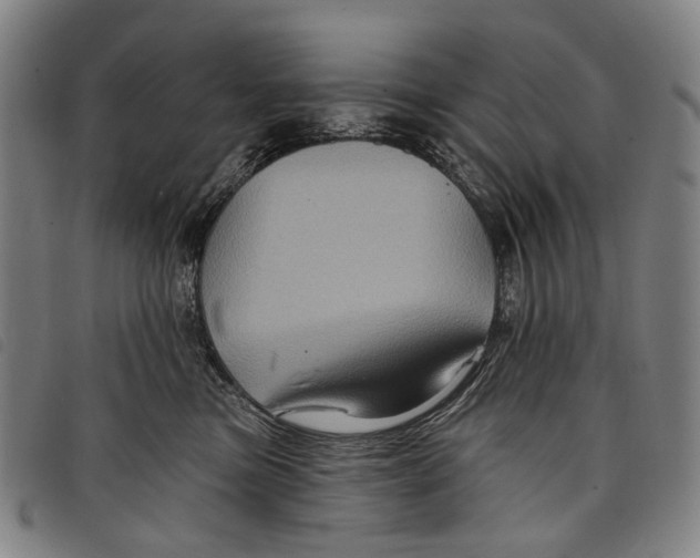 X0000097830473200804041425