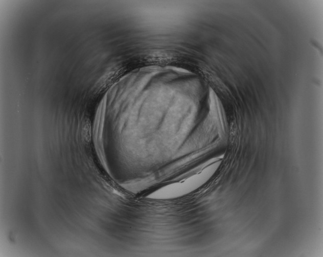 X0000097830474200804041425