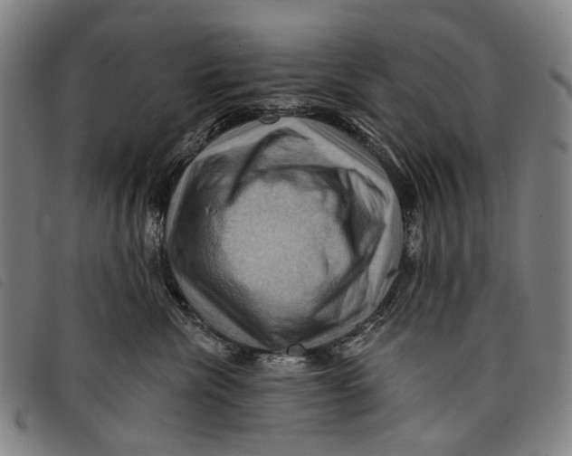 X0000097830476200804041425