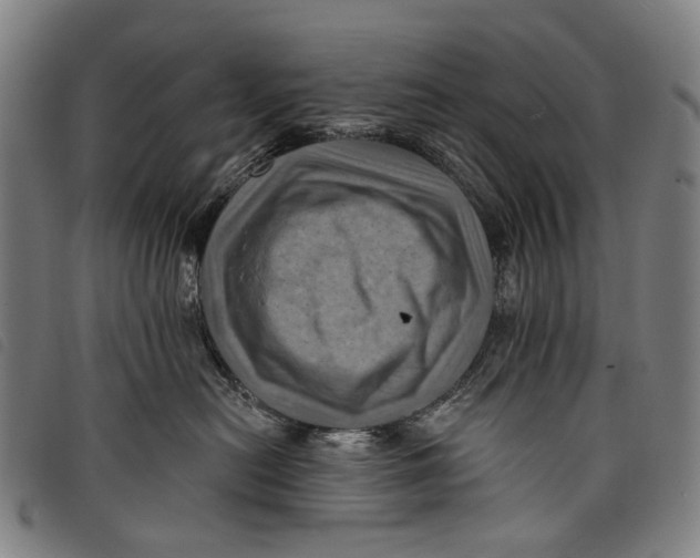 X0000097830478200804041425