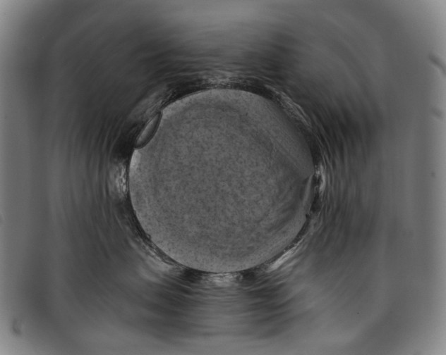 X0000097830479200804041425