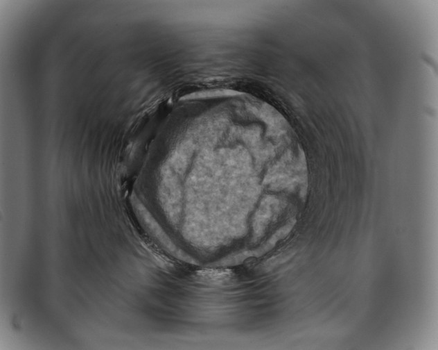 X0000097830480200804041425