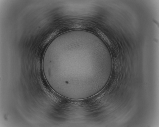 X0000097830482200804041424