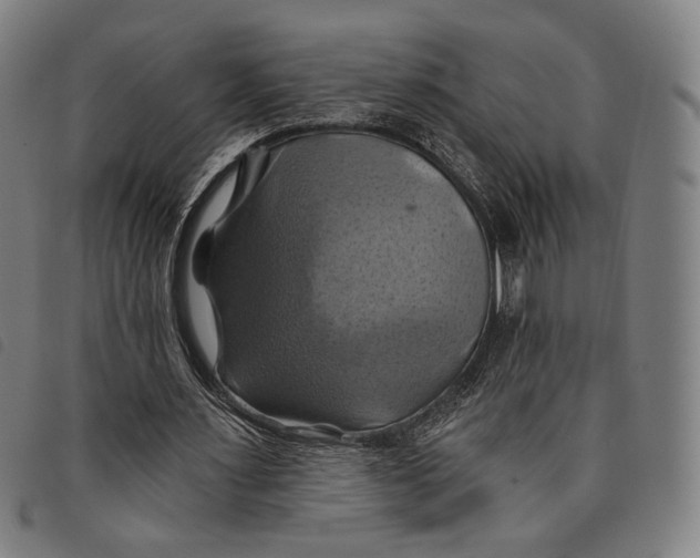 X0000097830483200804041424