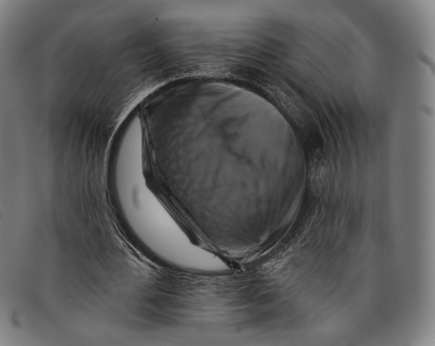 X0000097830484200804041424