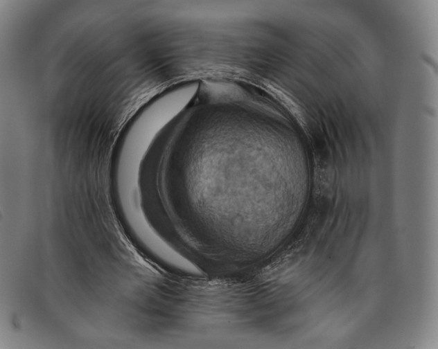 X0000097830485200804041424