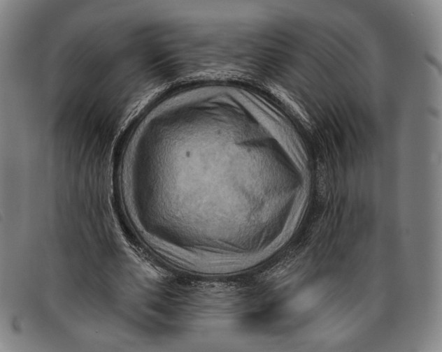 X0000097830486200804041424