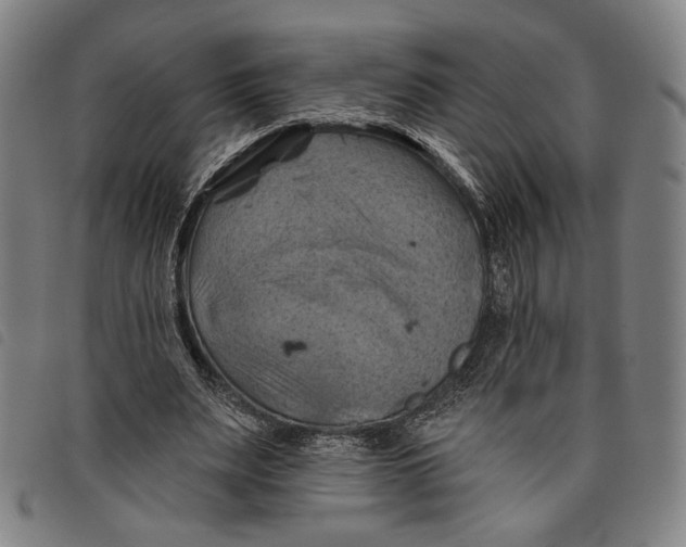 X0000097830487200804041424